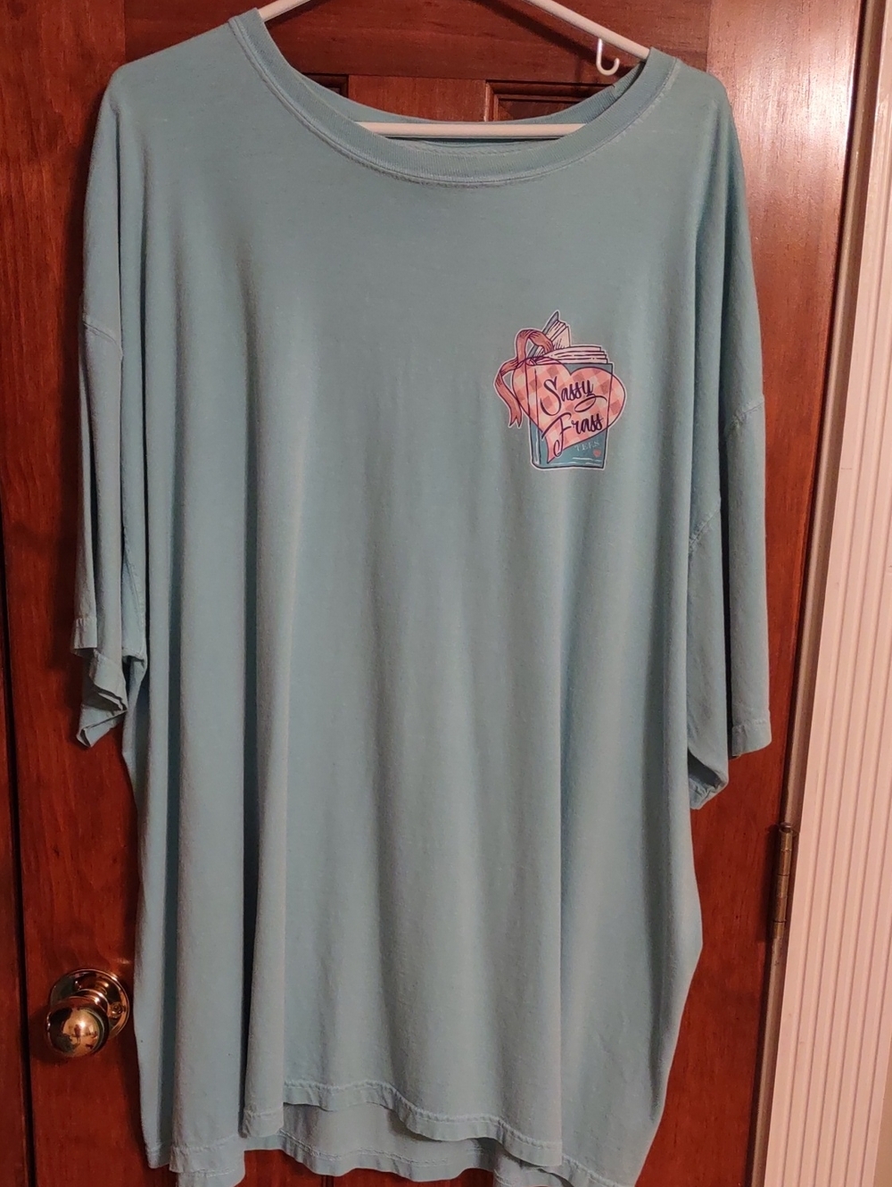 Comfort Colors Light Teal Sassy Vibes Pocket Tee